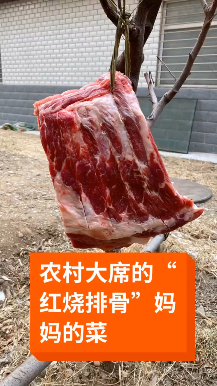 红烧排骨 你学会了吗。感谢大家的支持
