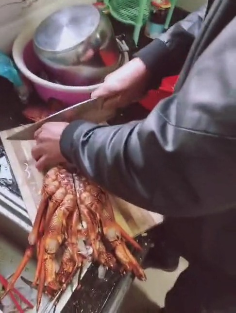 #娱乐#2000块钱的澳龙,就这样被老爸弄成杀鱼的感觉!怎么吃?