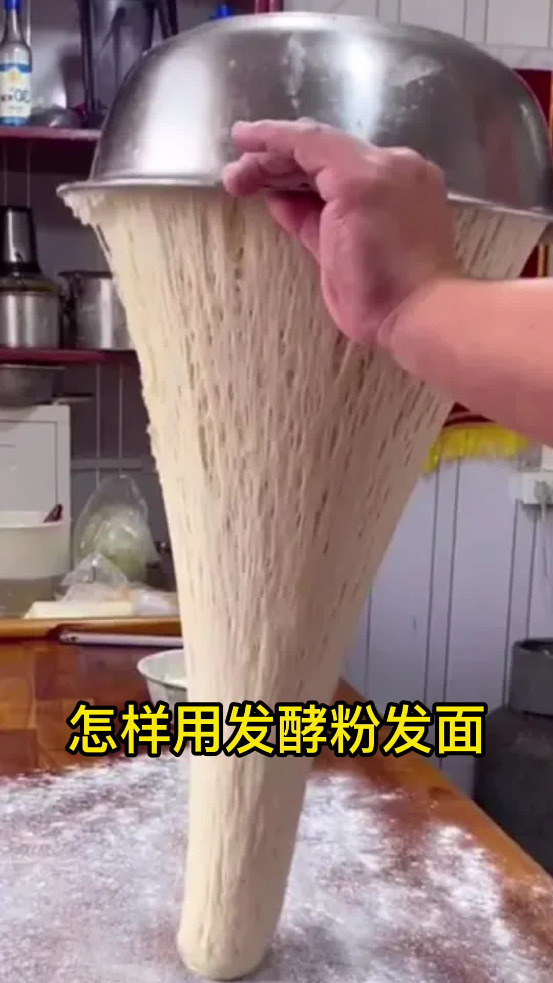 怎样用发酵粉发面,跟着我一块学吧