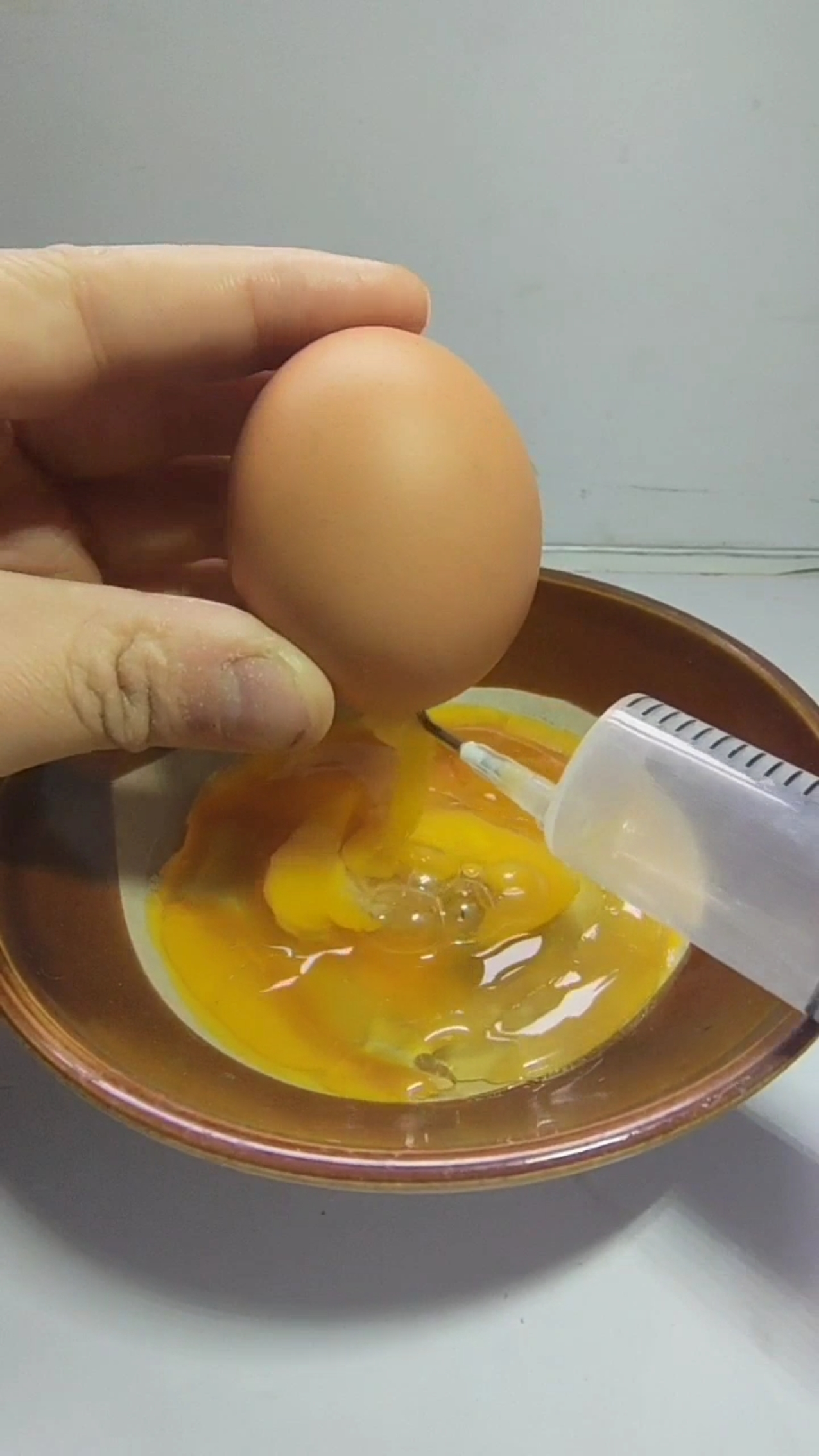 鸡蛋上作诗作画