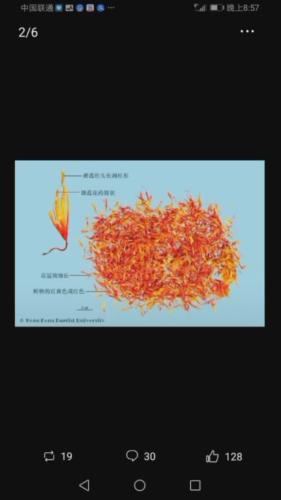 红花作用及功效