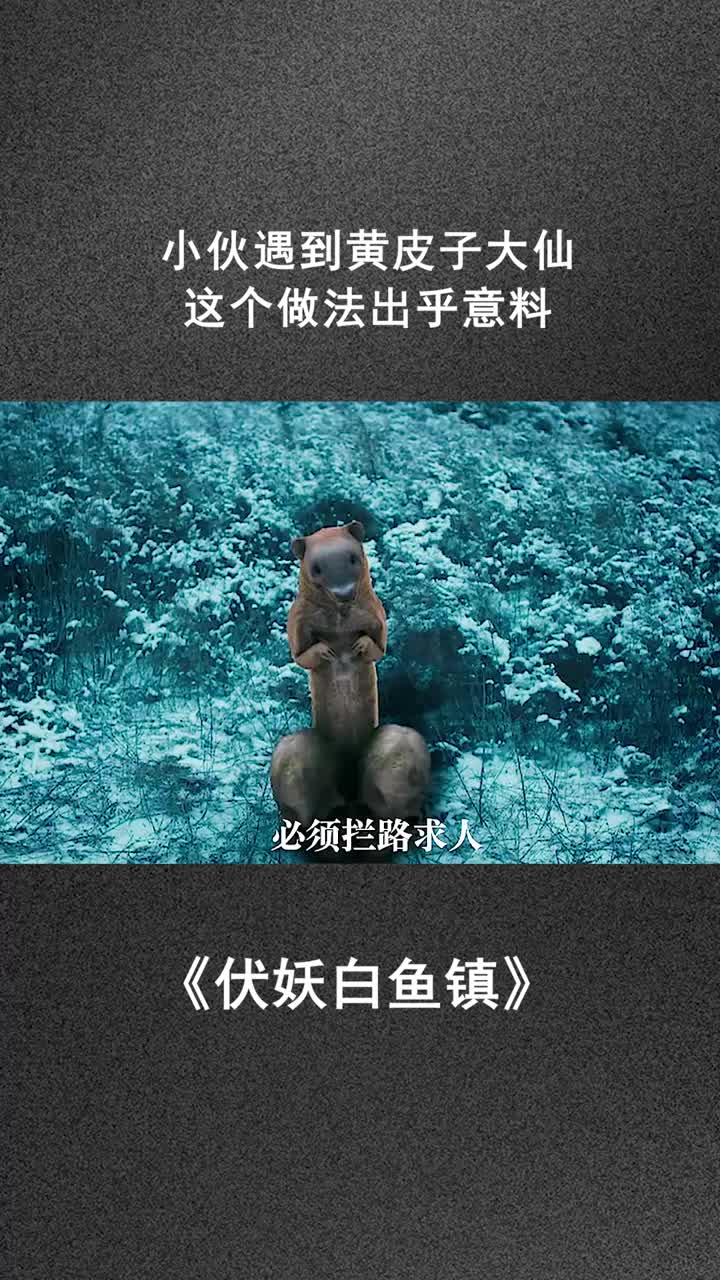 小伙遇到黄皮子大仙.这个做法出乎意料
