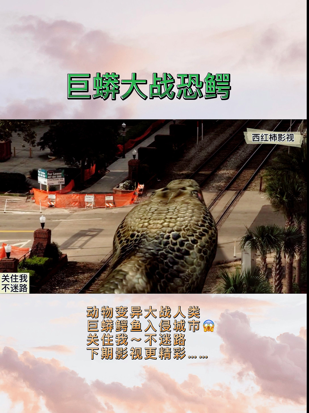 #好看电影#巨蟒大战恐鳄,人类参与城市守卫大作战