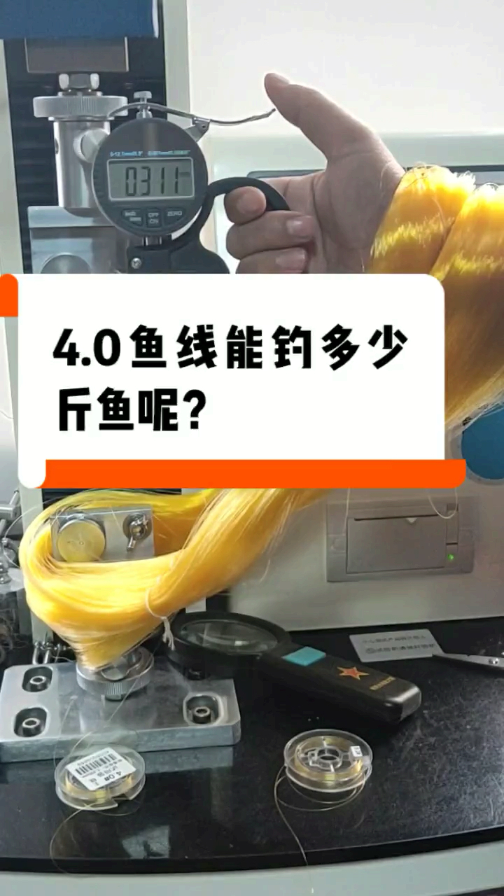 #鱼线#