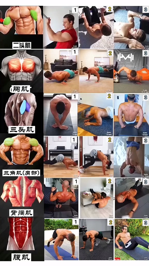 #在家健身打卡#上半身训练合集,十八个徒手训练动作,虐爆上半身各肌群,练出完美上半身!