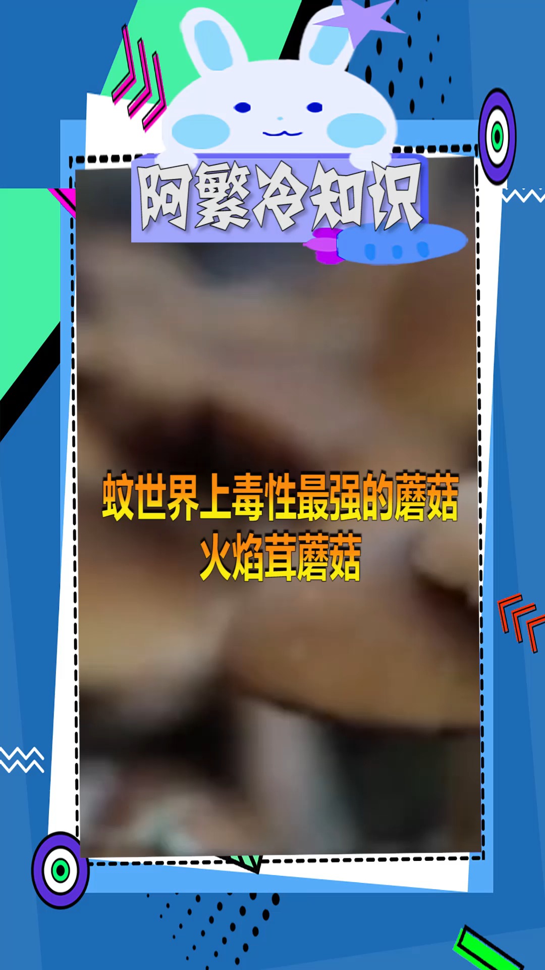 世界上毒性最强的蘑菇,火焰茸蘑菇,对此你怎么看?