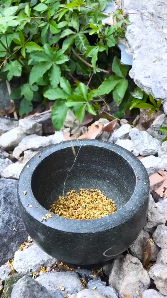 #我是吃货#温州特产手工传统糕点桂花糕糯米糕网红零食夹心糕小米糕食品早餐