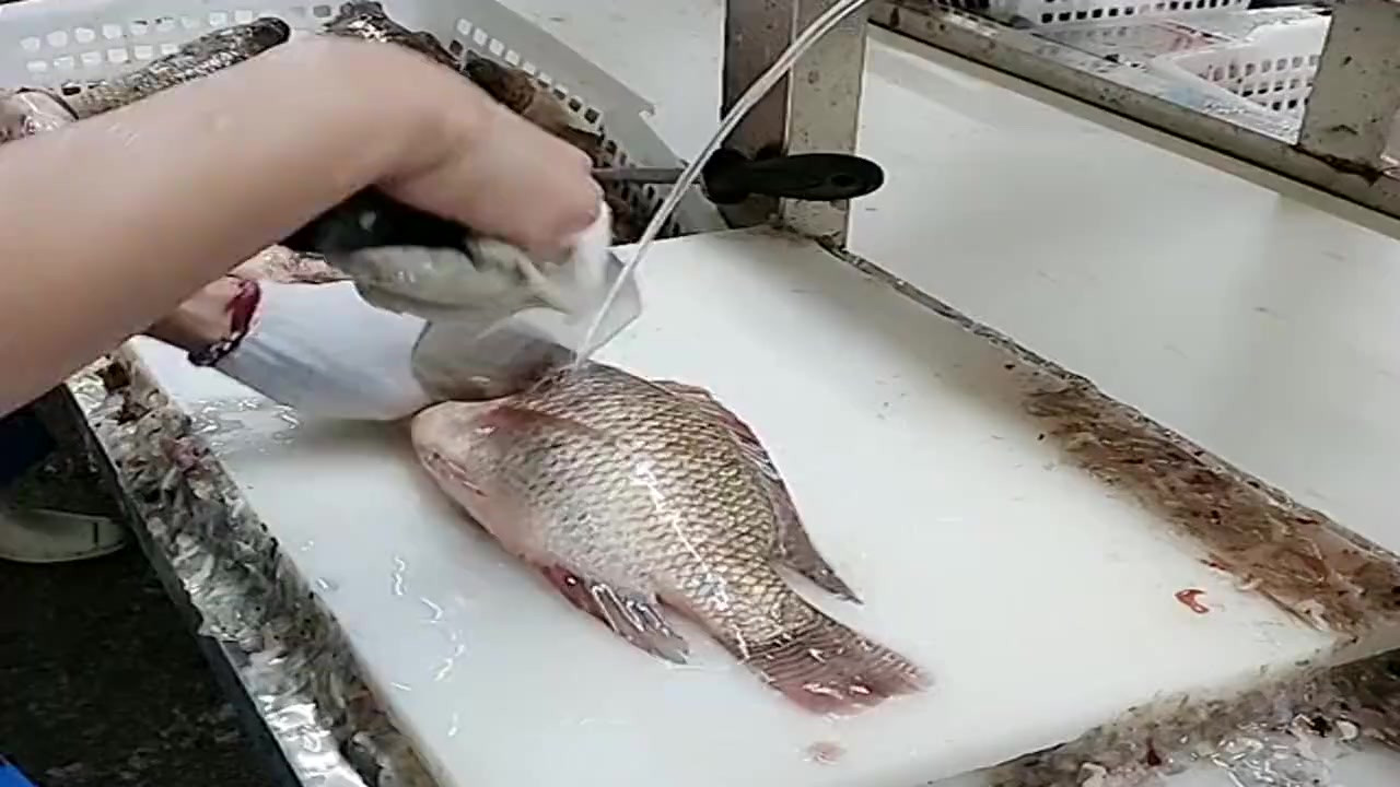 专业杀鱼的师傅,技术就是牛,处理一只鱼只要几秒钟!