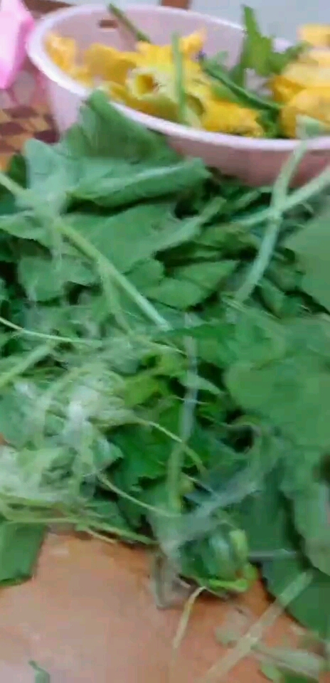 第一天恢复上学点花旗参鸡汤补补脑要启动斗智斗勇的状态了