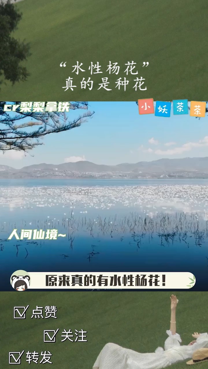 好看还好吃的“水性杨花”,现在飞去云南行不行#海菜花#云南#泸沽湖#水性杨花