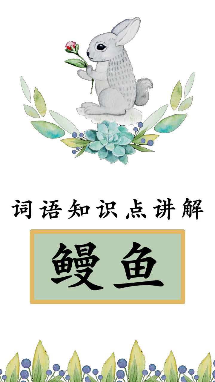 瞄一瞄鳗鱼的拼音