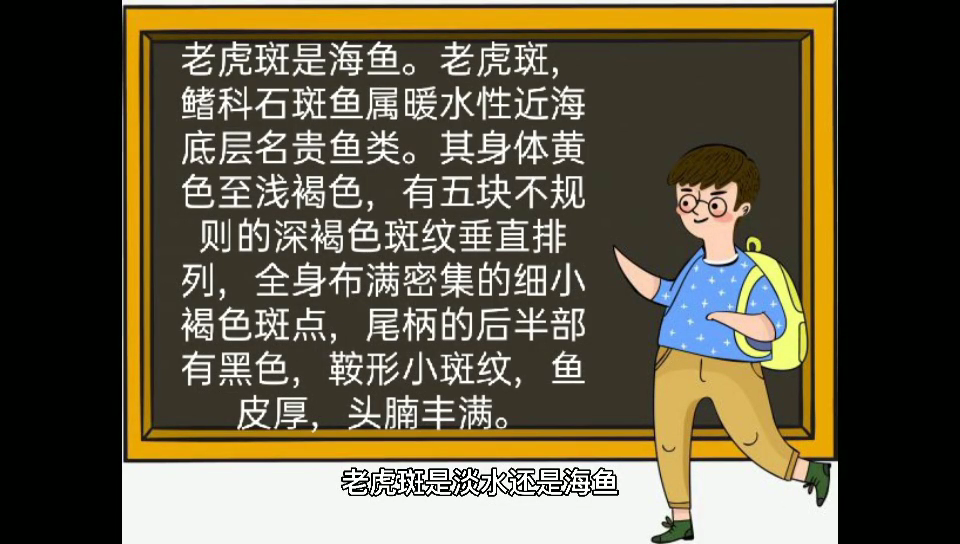 老虎斑是淡水还是海水