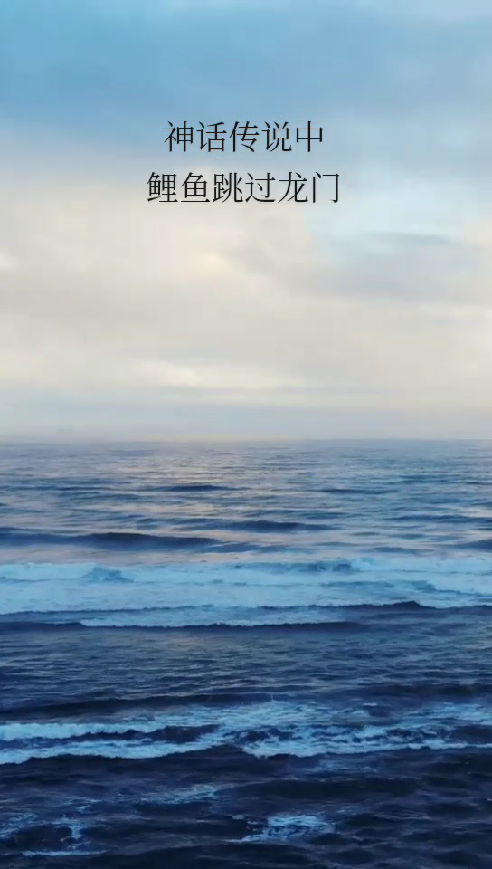 端午赤龙跃龙门是什么意思