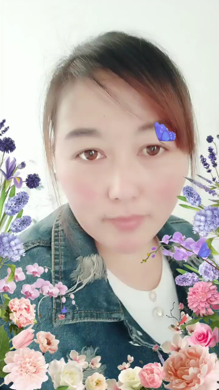 美丽的蝴蝶