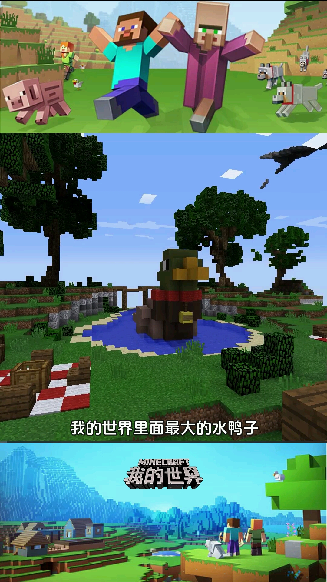 我的世界这么大的小鸭鸭它是吃什么长大的呢