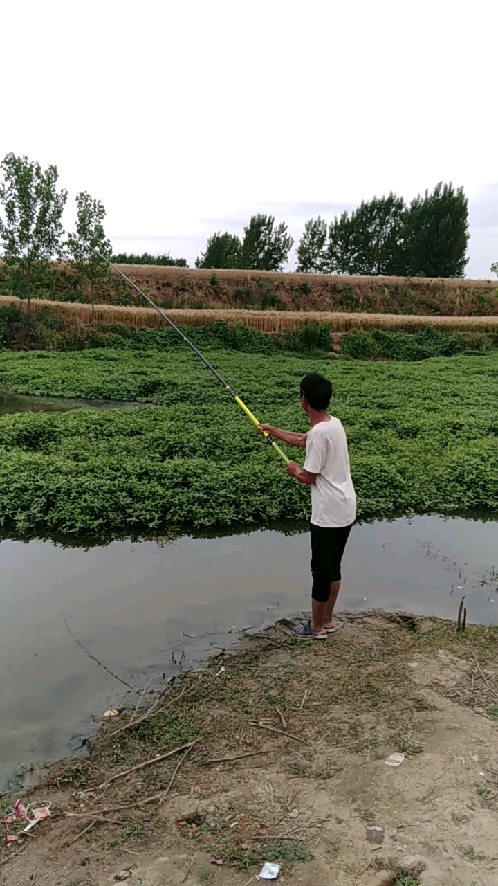 九米飞鲨钓鲫鱼,你见过吗?