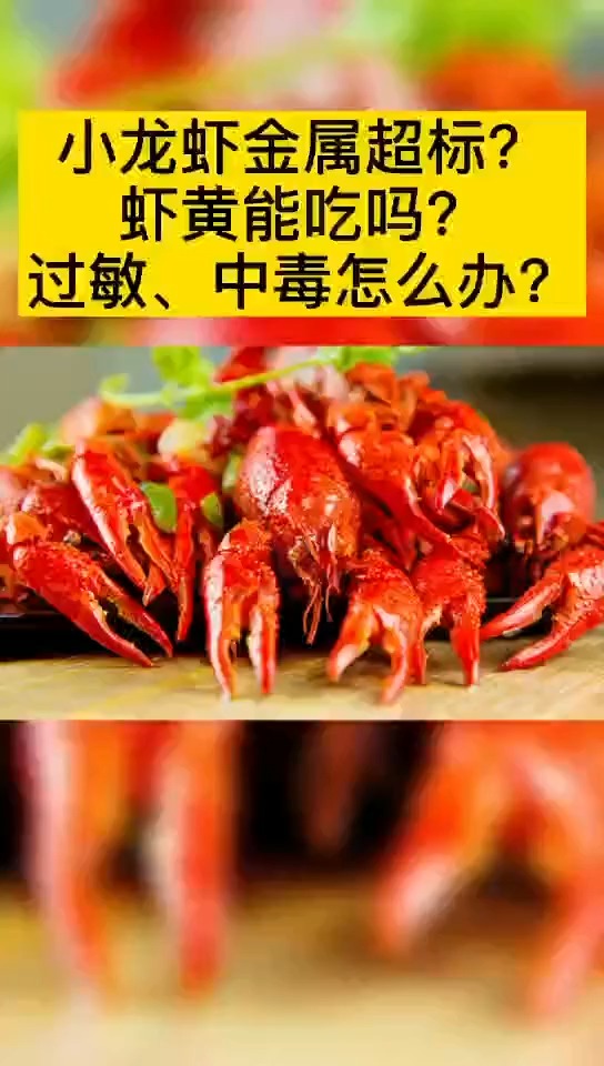小龙虾金属超标?虾黄能吃吗?过敏、中毒怎么办?