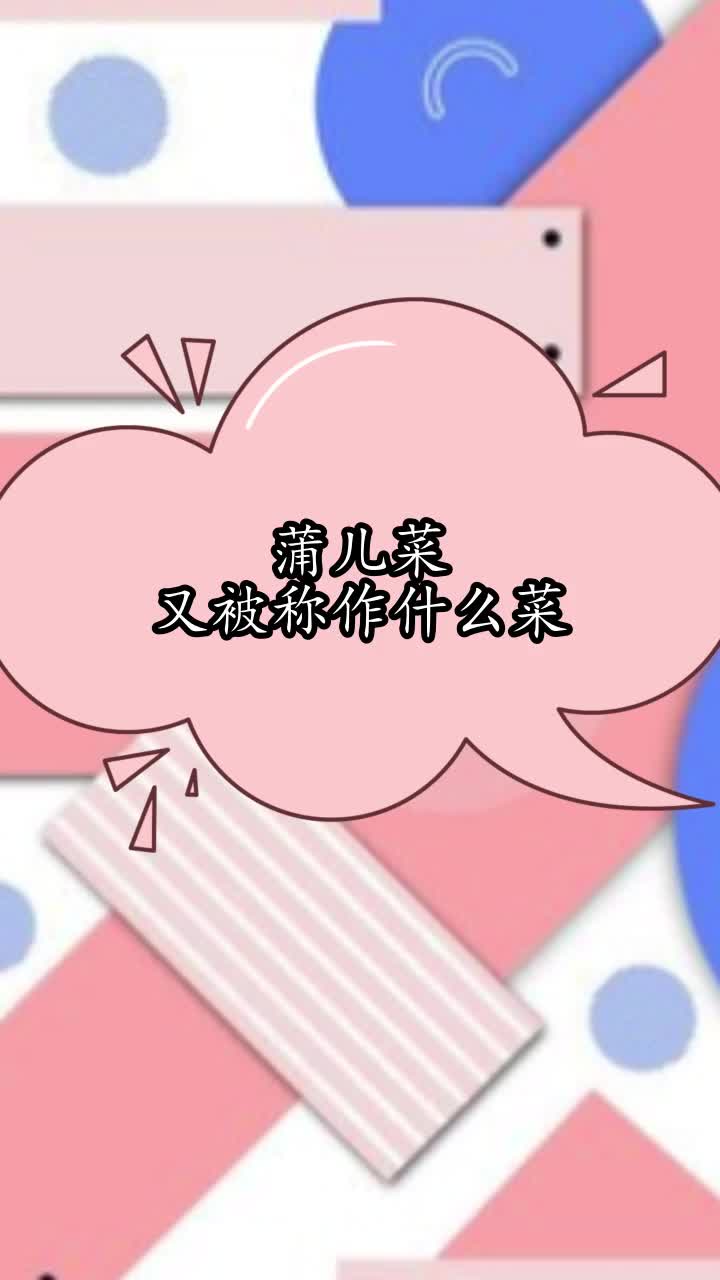 蒲儿菜又被称作什么菜,你理解了吗