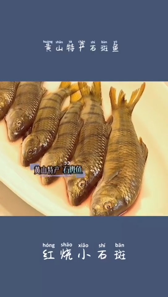 口齿留香的黄山特色红烧小石斑鱼怎么做?点开学起来!#美食教程 #合肥美食