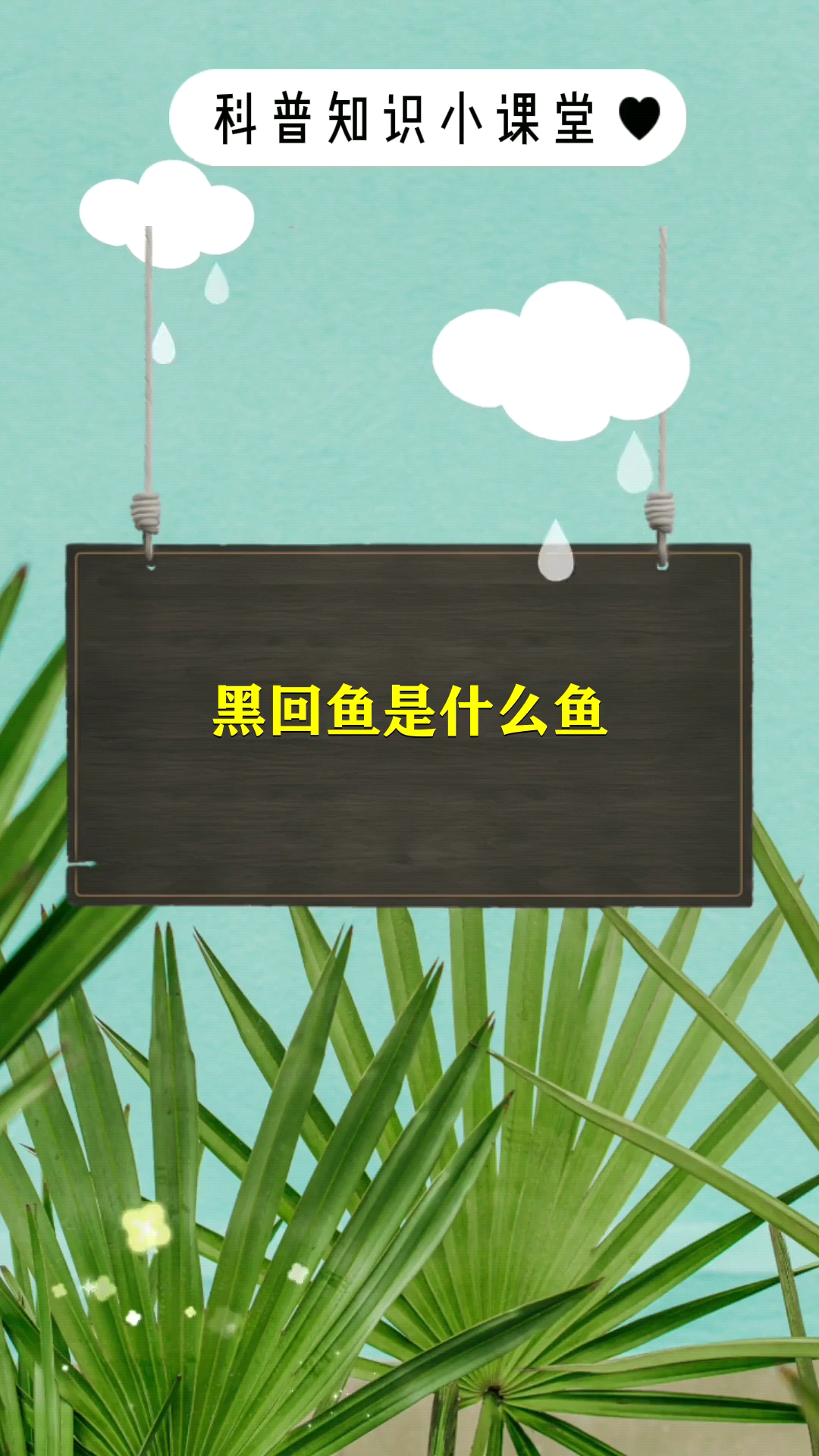 黑回鱼是什么鱼 