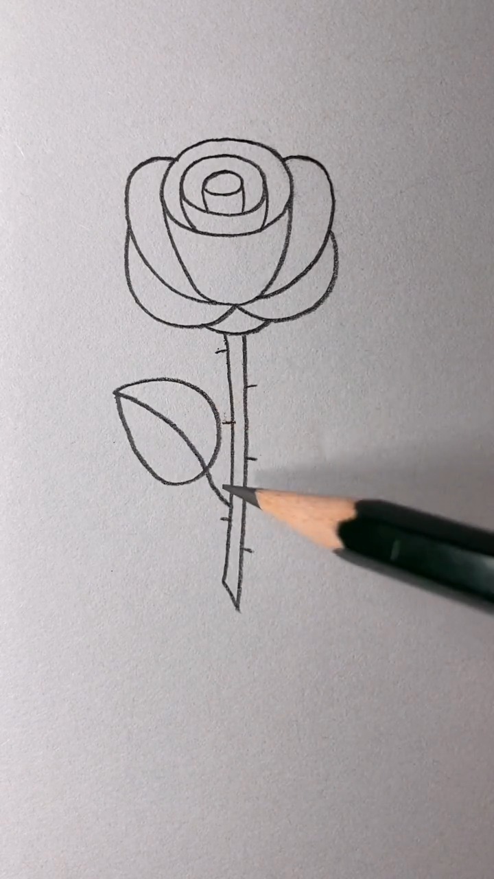 简笔画花一朵小花花,加了一点素描果然太好看了!