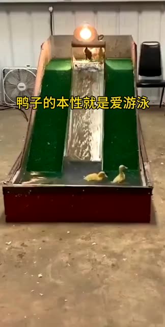 悠闲又自在。