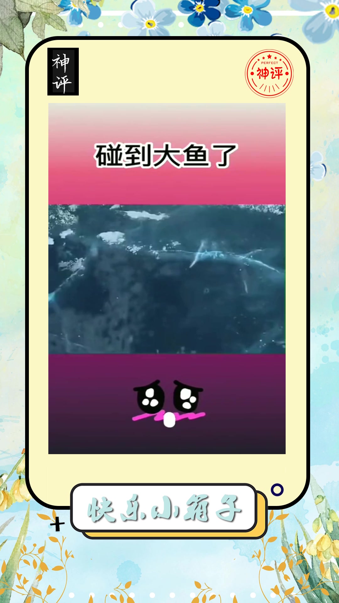 #搞笑#男子在南极考察居然发现史前鲸鱼这体积赶上军舰了