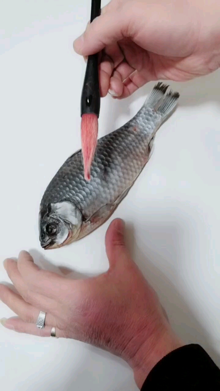 太极鱼