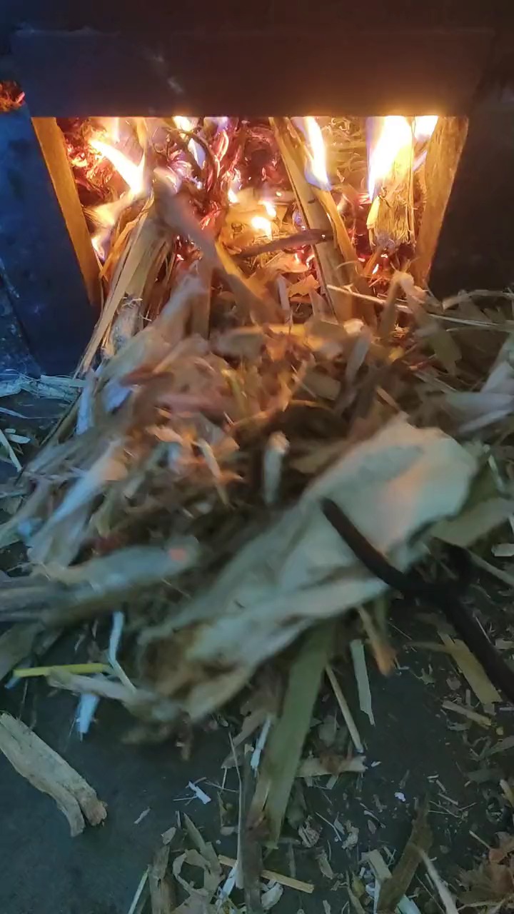 #搞笑段子剧#一个,大鸡腿的命运