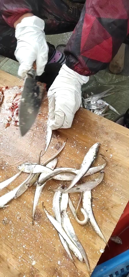 刚出水野生的毛刀鱼,手工抛肚,自然晾晒,无污染无添加