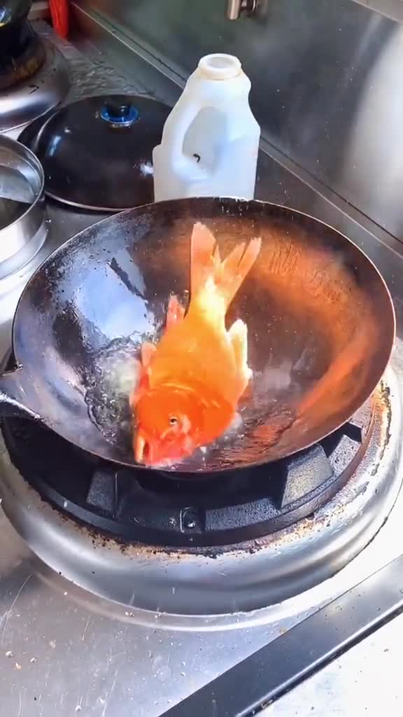 不刮鳞片的鱼,我们的青田田鱼非物质文化遗产