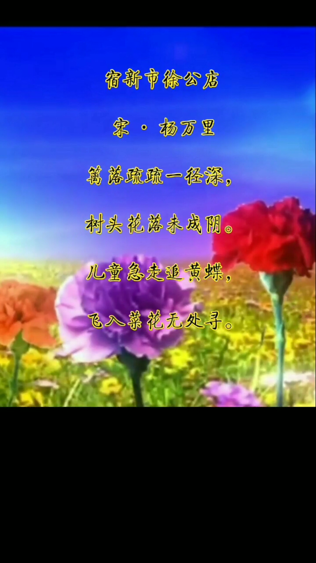 #我爱古诗词#《宿新市徐公店》：每个人的童年都有过梦幻的金色