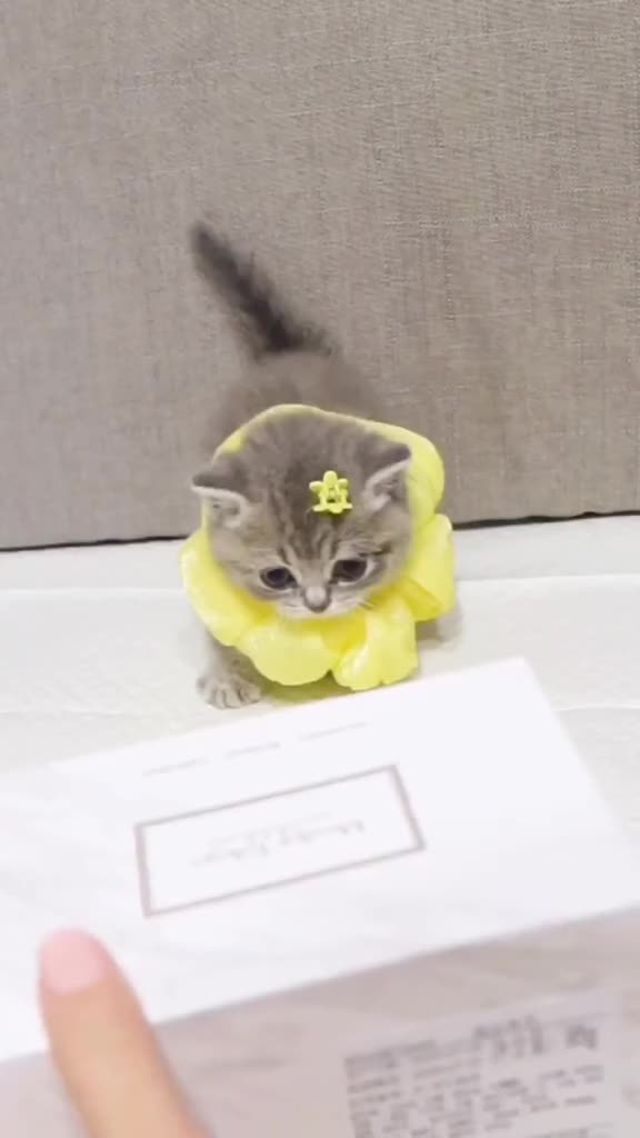 愉快的周末Hitea,今天你Hitea了吗