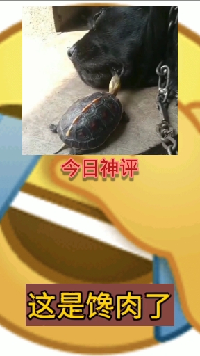 这是想吃狗肉了。