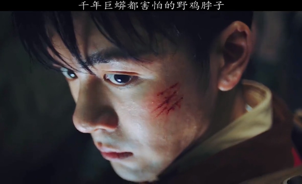 #精彩影视#吴邪小哥碰到千年巨蟒,巨蟒却被鸡冠蛇吓跑