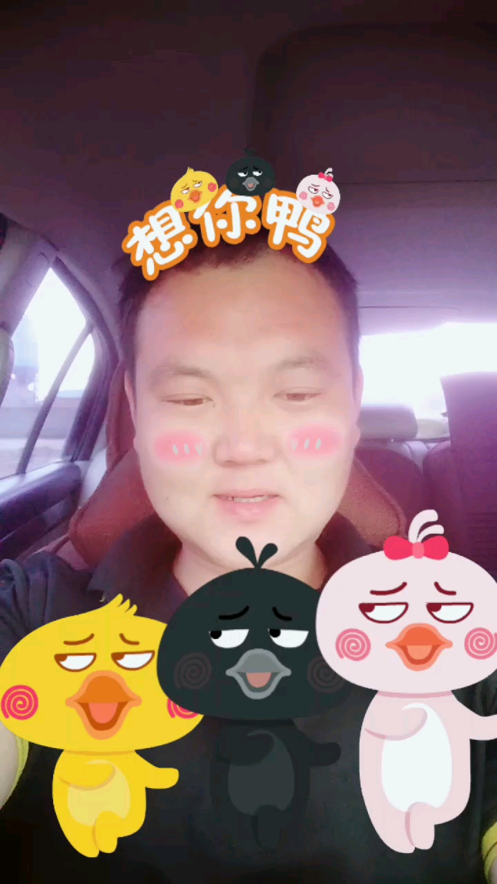 为什么拍的时候小鸭子不动了