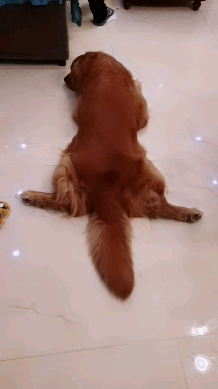 #搞笑段子剧#北京酱板鸭