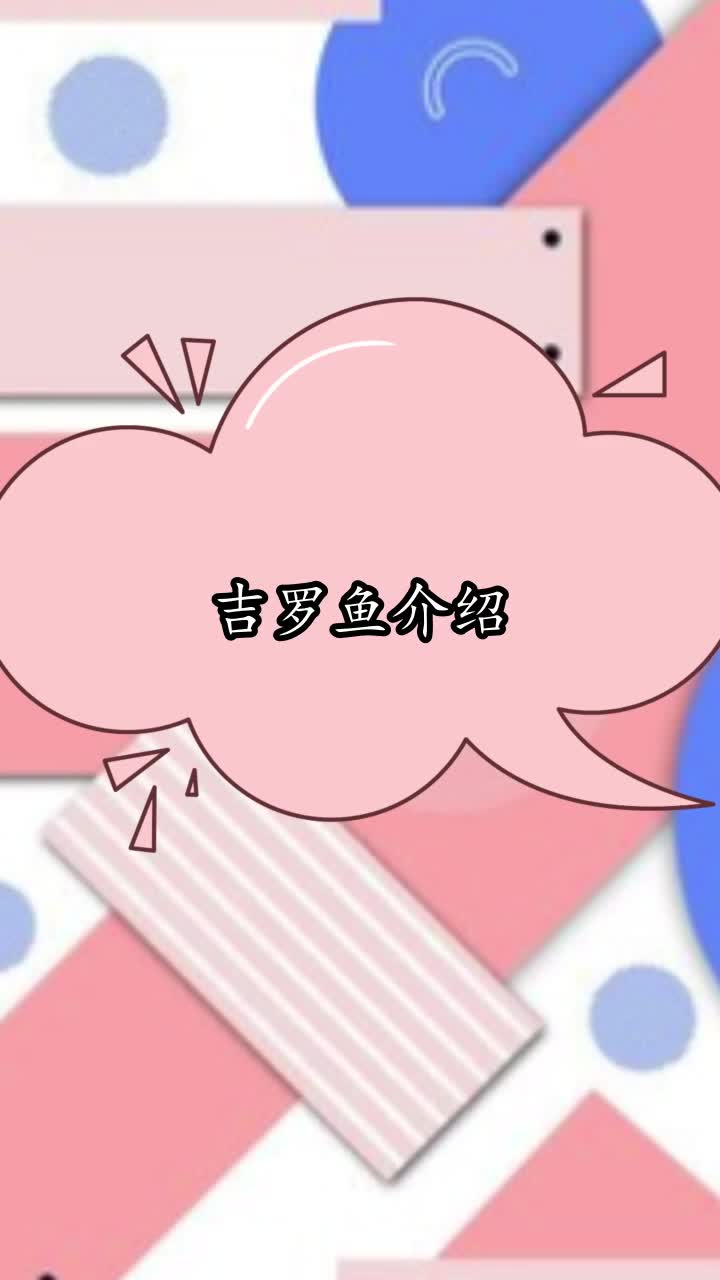吉罗鱼介绍,你清楚了吗