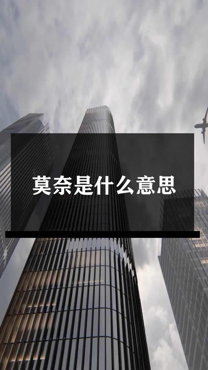 莫奈是什么意思