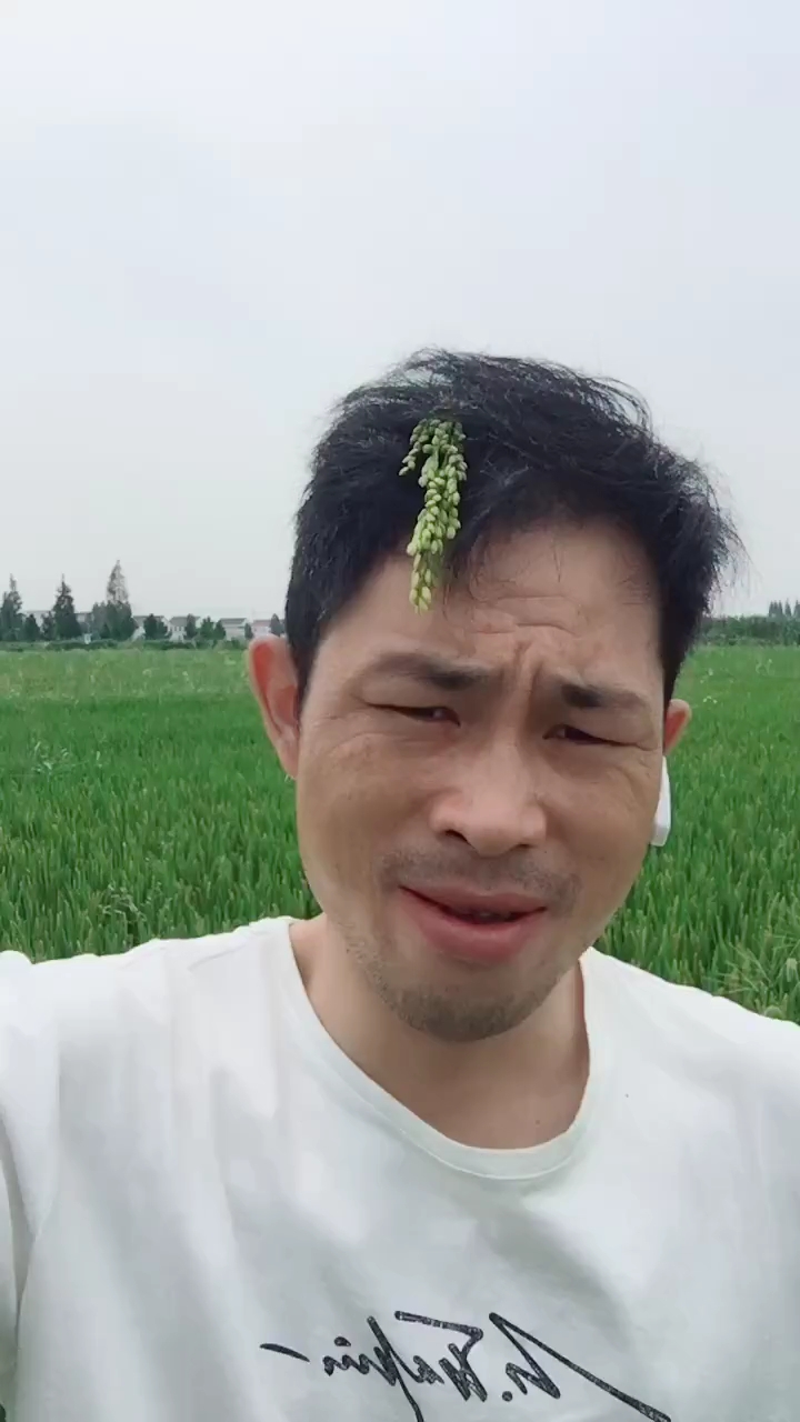 #赵孟楷书#农村人的苦没几个人懂
