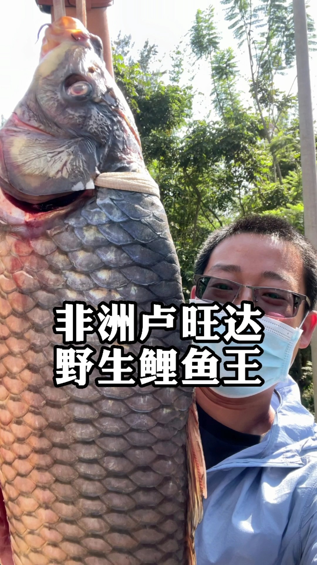 非洲卢旺达,水资源丰富,偶遇野生鲤鱼王,买它