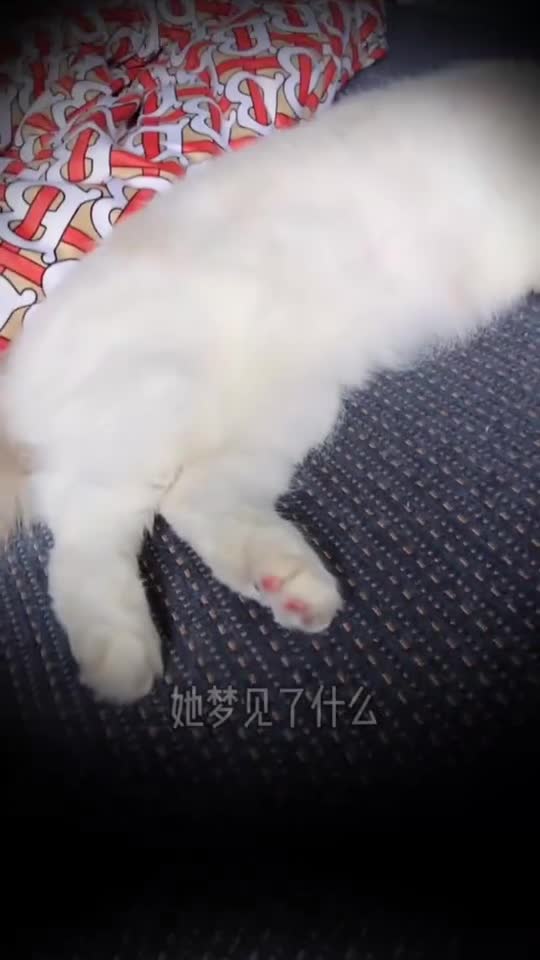 有人懂得解梦吗特别是孕妇的梦