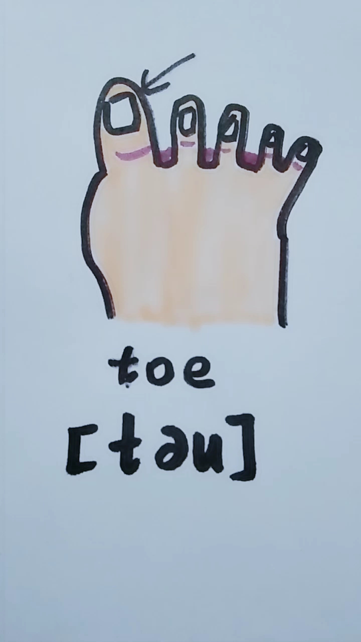 #方言诗朗诵#一年级英语 身体部位简笔画 单词拼读 toe 脚趾