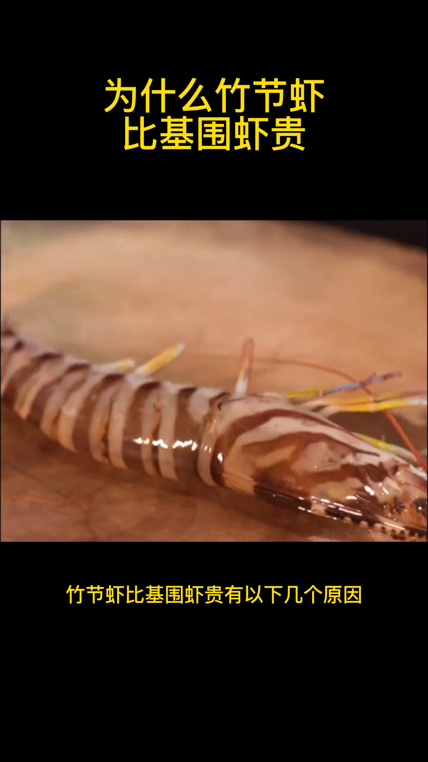 为什么竹节虾比基围虾贵
