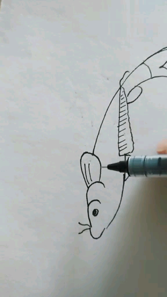 简笔画鱼