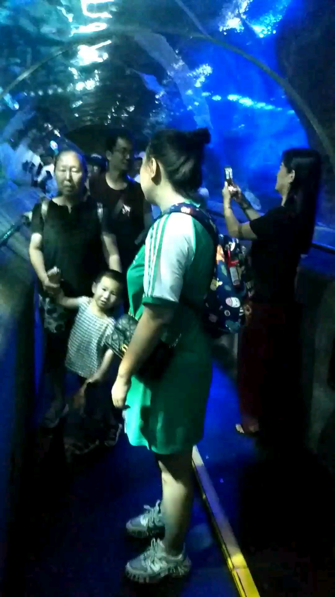 我是人类大海中的一条快乐的鱼