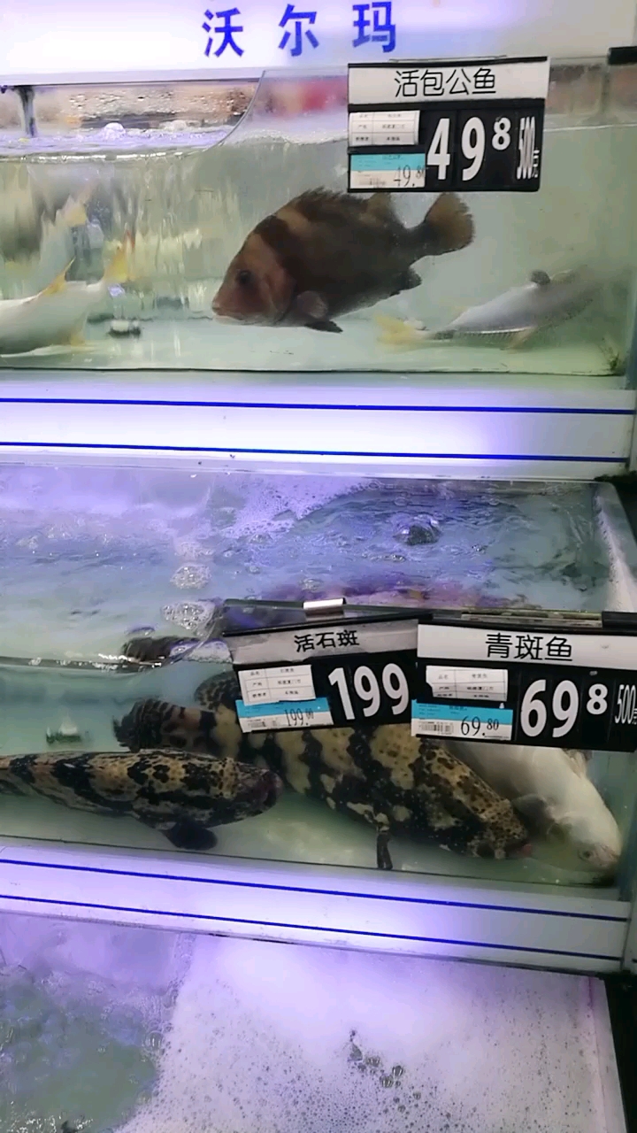 沃尔玛