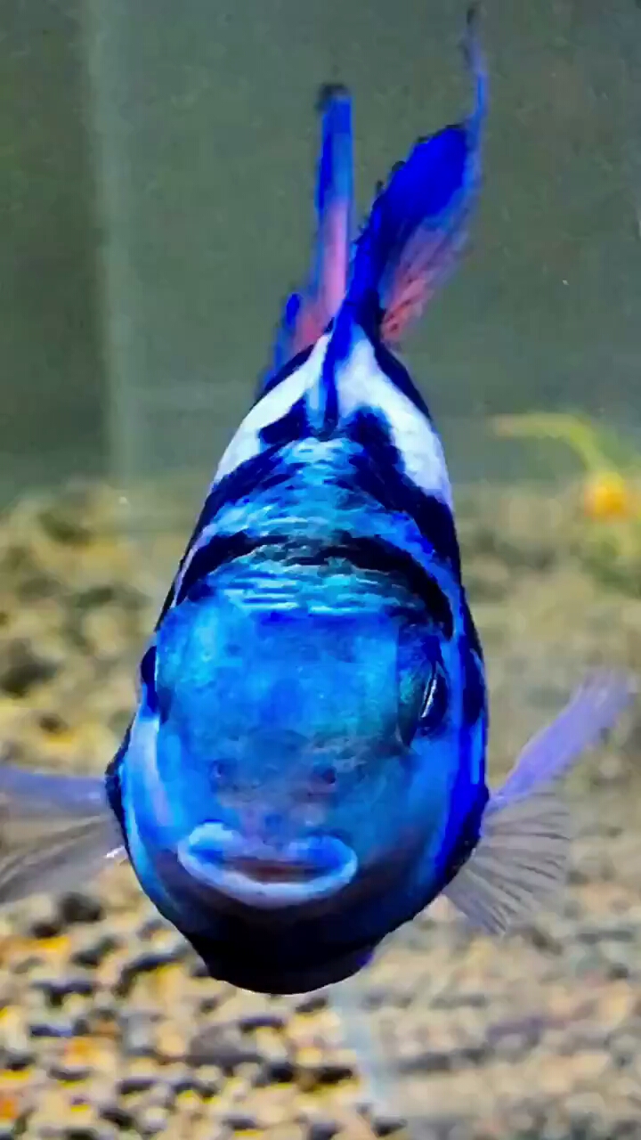 老铁来聊聊