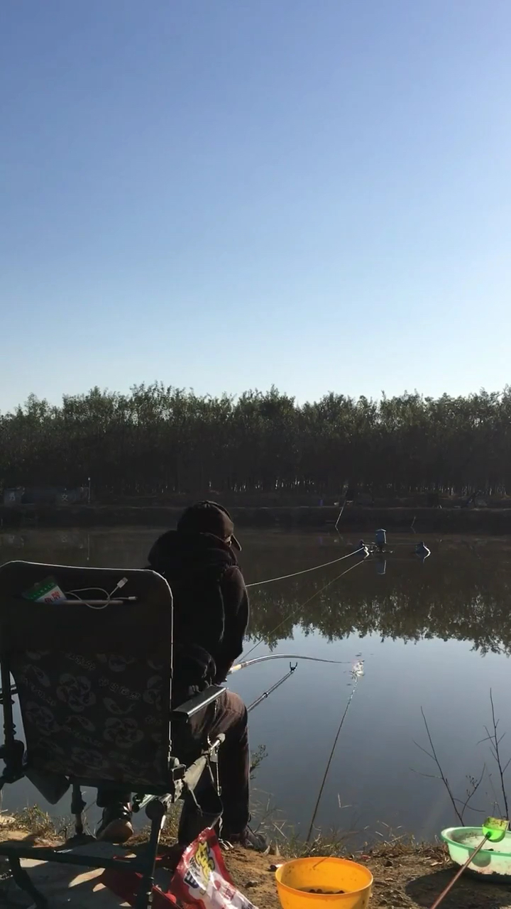 直飞大青鱼