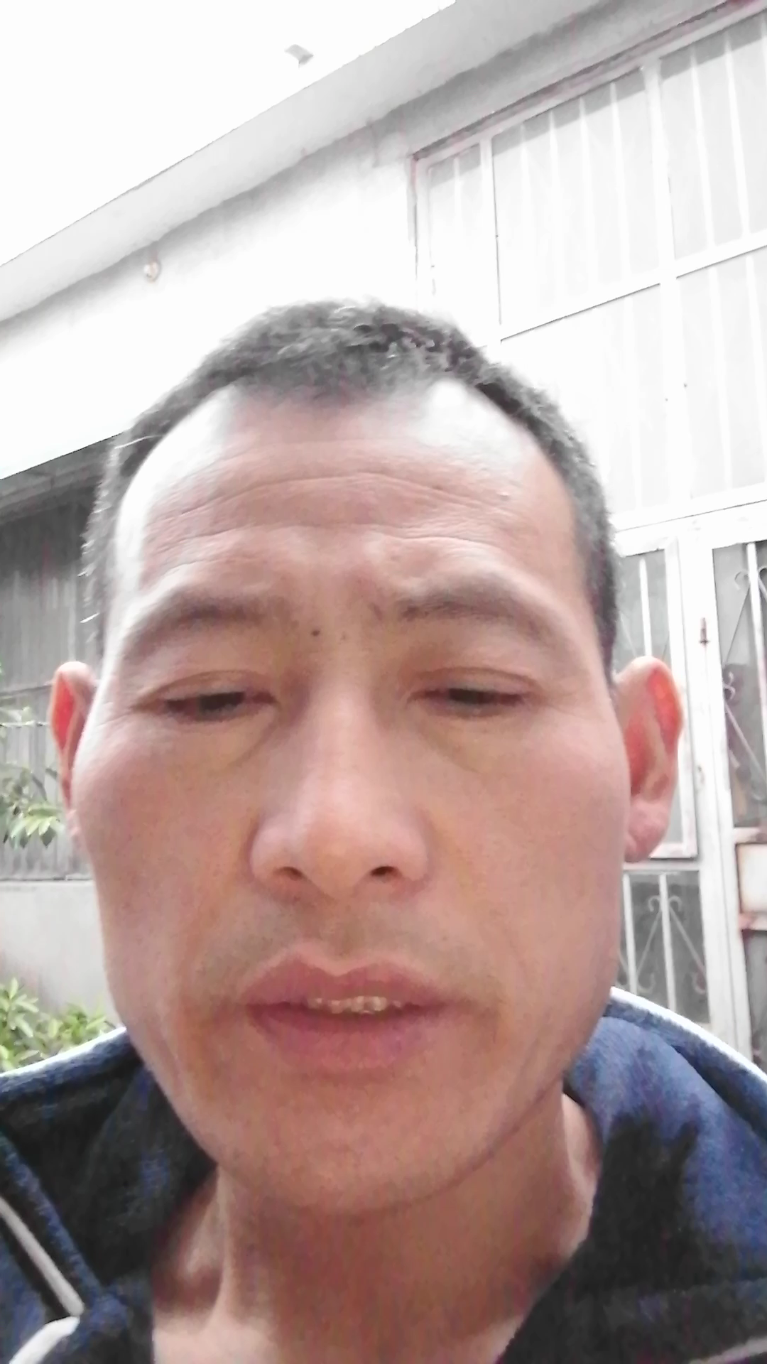 鳀鱼怎么读啊??